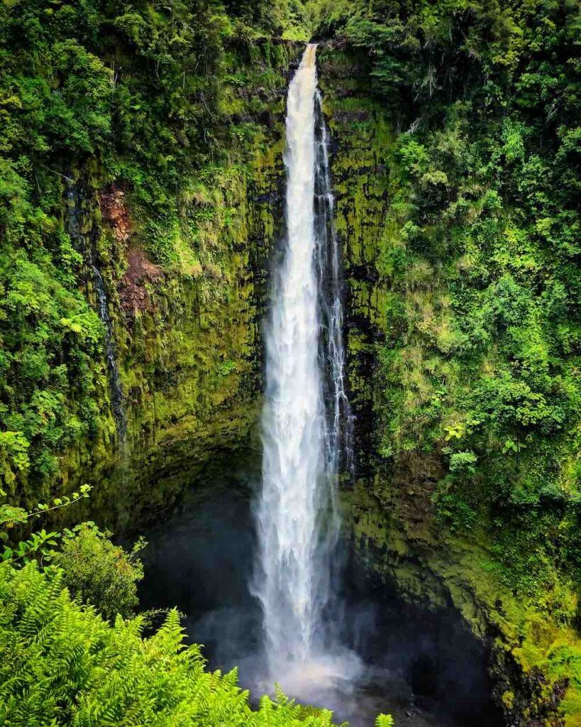 Image of a tall waterfall surrounded by green moss and ferns.