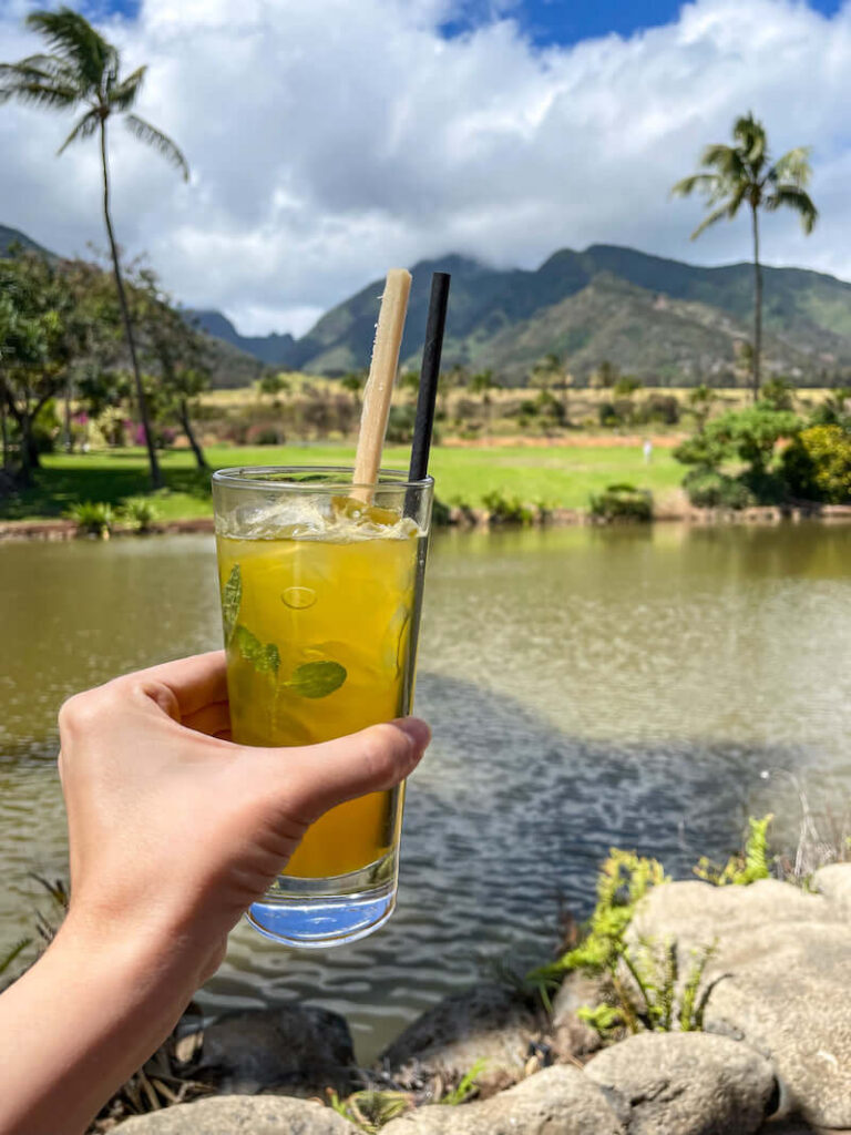 Image of a drink at the Maui Tropical Plantation with mountains in the background
