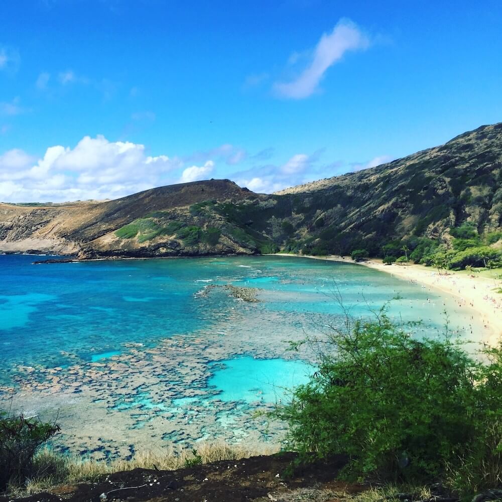 Image of a coral reef in Hawaii called Hanauma Bay on the Island of Oahu with cliffs in the background
