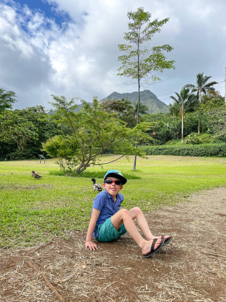 Image of a boy sitting on the ground with palm trees and mountains in the background