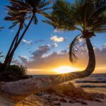 Find out how many days on Maui you need by top Hawaii blog Hawaii Travel Spot! Image of palm trees at sunset on a beach in Maui