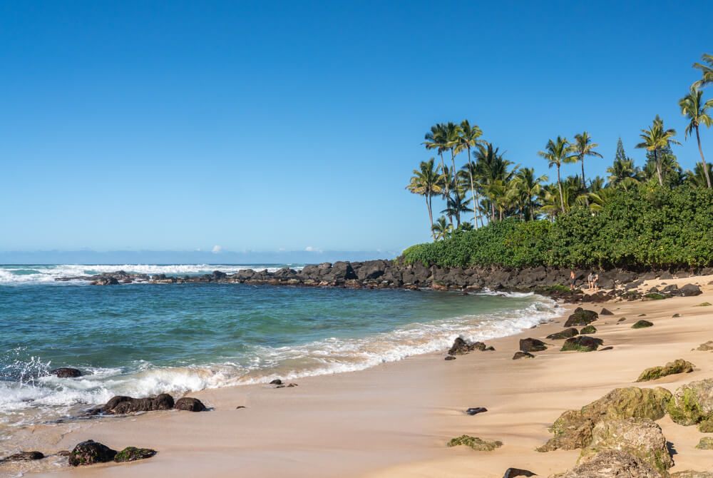 Image of Laniakea Beach, a North Shore Oahu beach with rocks and palm trees in the background