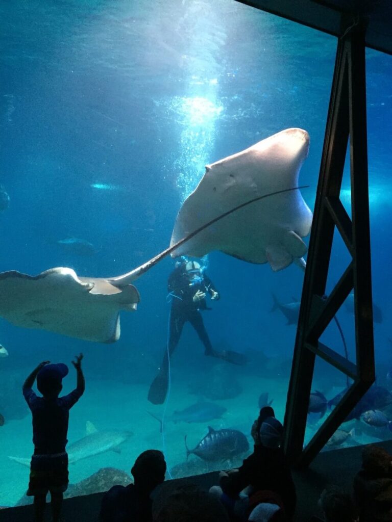 Image of kids in front of a massive aquarium tank with rays and a diver at the Maui Ocean Center in Hawaii.