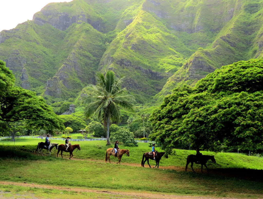 Image of people riding horses at Kualoa Ranch on Oahu.