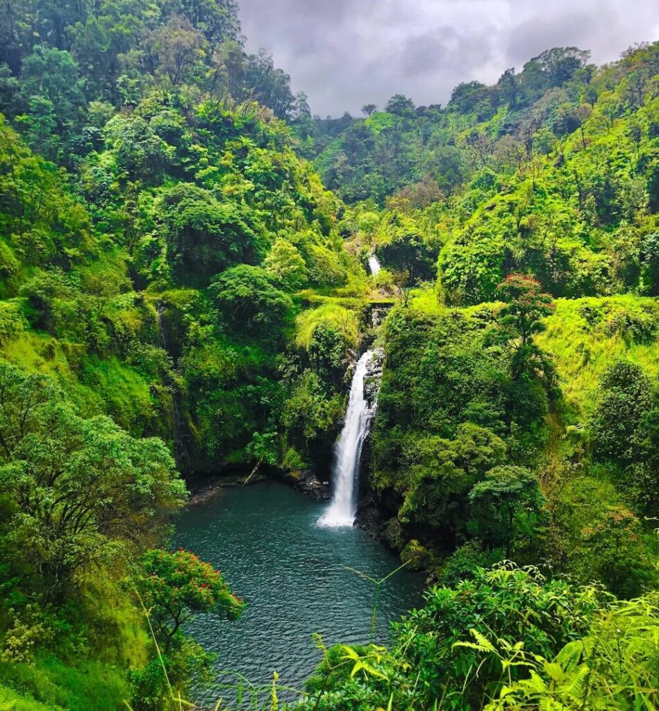 Road to Hana waterfalls: Image of a waterfall surrounded by lush green tropical jungle