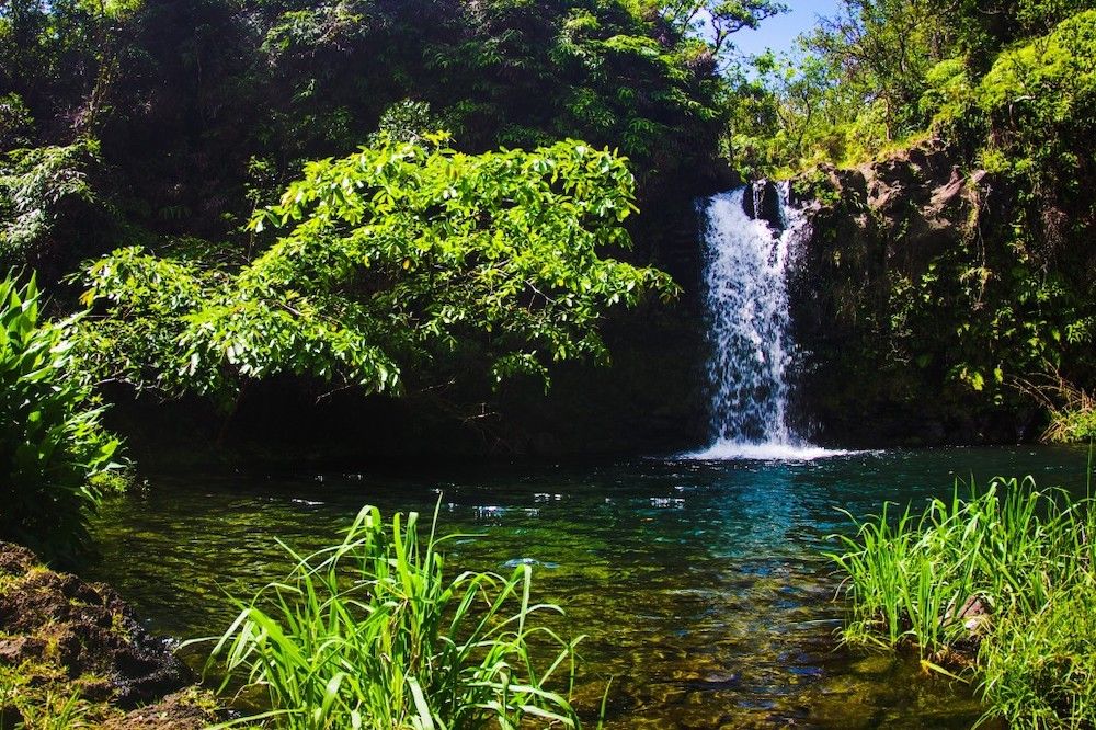 Image of a short waterfall with a large pool of water, a Road to Hana waterfall on Maui