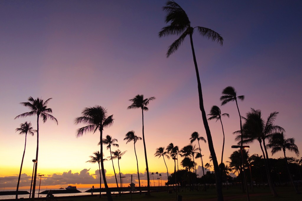 Image of the sunset at Magic Island in Waikiki Oahu with palm trees