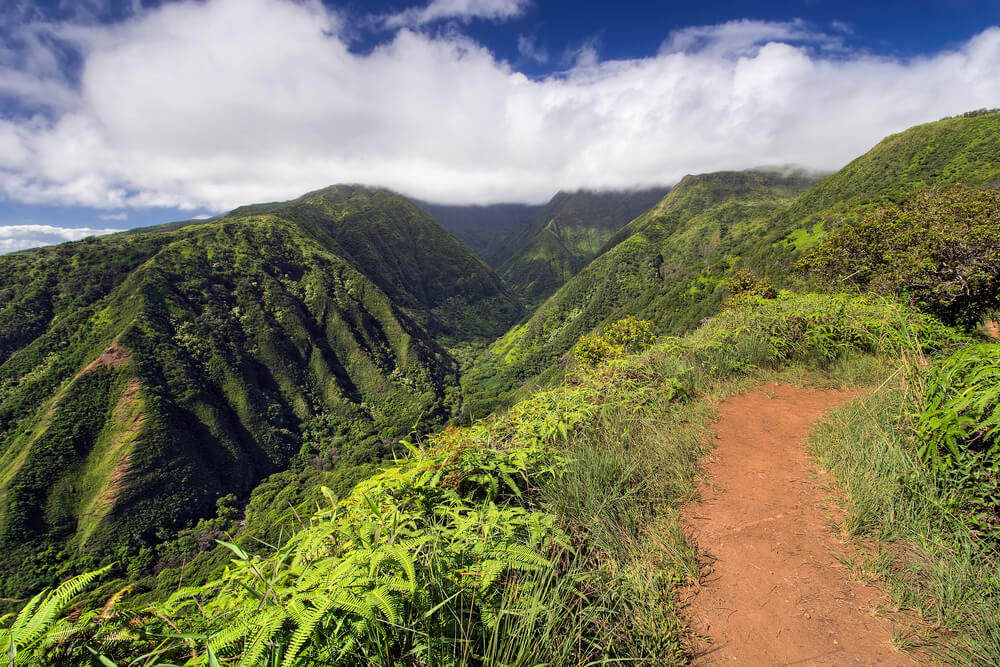 Waihee Ridge Trail on Maui. Image of a red dirt path with grass and lush green mountains around