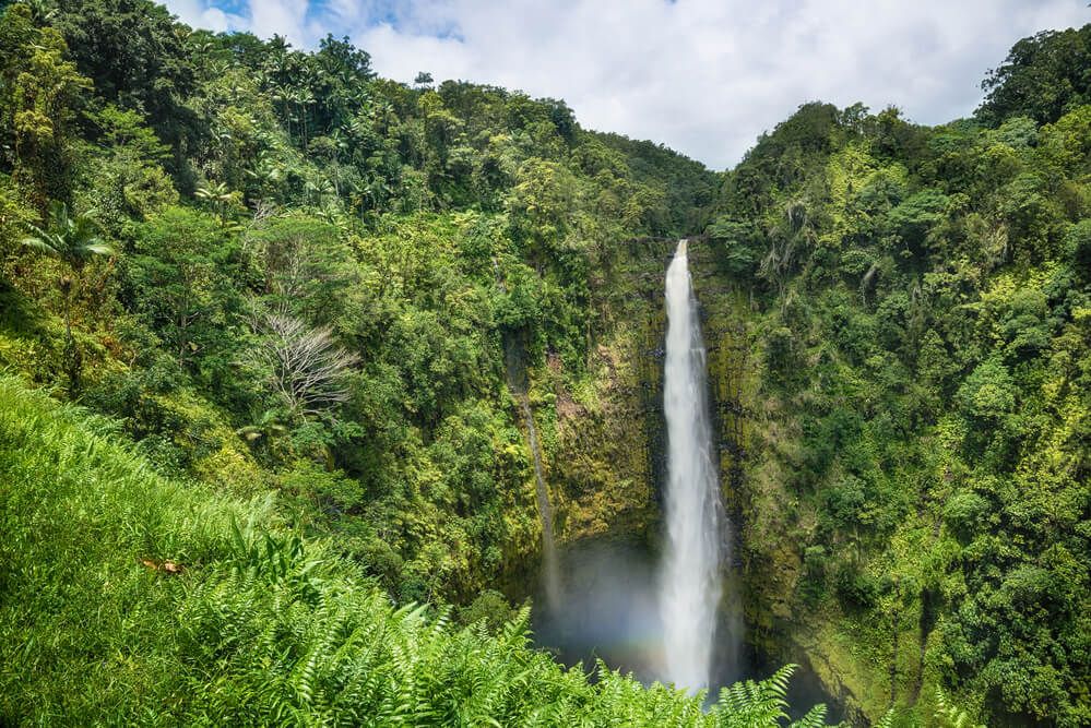 Akaka Falls: Image of a tall Big Island waterfall surounded by lush greenery