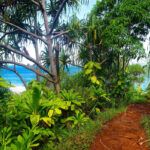 Find out the best cheap and free things to do on Kauai recommended by top Hawaii blog Hawaii Travel Spot. Image of the Kalalau Trail in North Shore Kauai