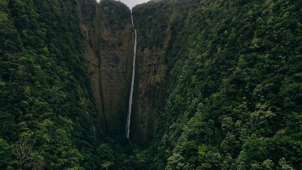 Hi'ilawe Falls in the Waipio Valley on the Big Island of Hawaii. Image of a tall skinny waterfall on a lust green mountain