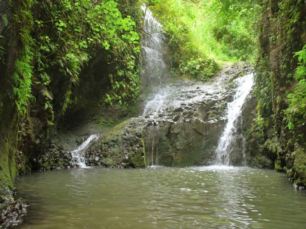 One of the best Oahu waterfall hikes is Maunawili Falls. Image of a short and wide waterfall going into a pool