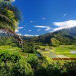 Check out this guide to North Shore Kauai by top Hawaii blog Hawaii Travel Spot! Image of the Hanalei Valley on Kauai