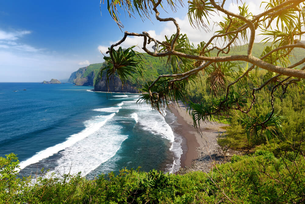 Pololu Valley on the Big Island: Image of a sandy beach with lush greenery and the bright blue ocean
