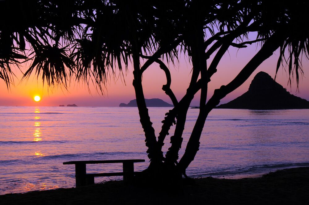 Sunrise at Kualoa Beach Park on Oahu. Image of a beach with a purple sky and little island in the background