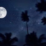 Find out the most haunted places in Hawaii recommended by top Hawaii blog Hawaii Travel Spot! Image of a moonlit sky and palm trees