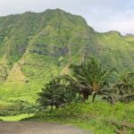 Find out the best things to do at Kualoa Ranch on Oahu recommended by top Hawaii blog Hawaii Travel Spot! Image of the Kaaawa Valley with palm trees