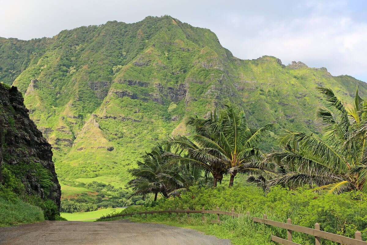 Find out the best things to do at Kualoa Ranch on Oahu recommended by top Hawaii blog Hawaii Travel Spot! Image of the Kaaawa Valley with palm trees