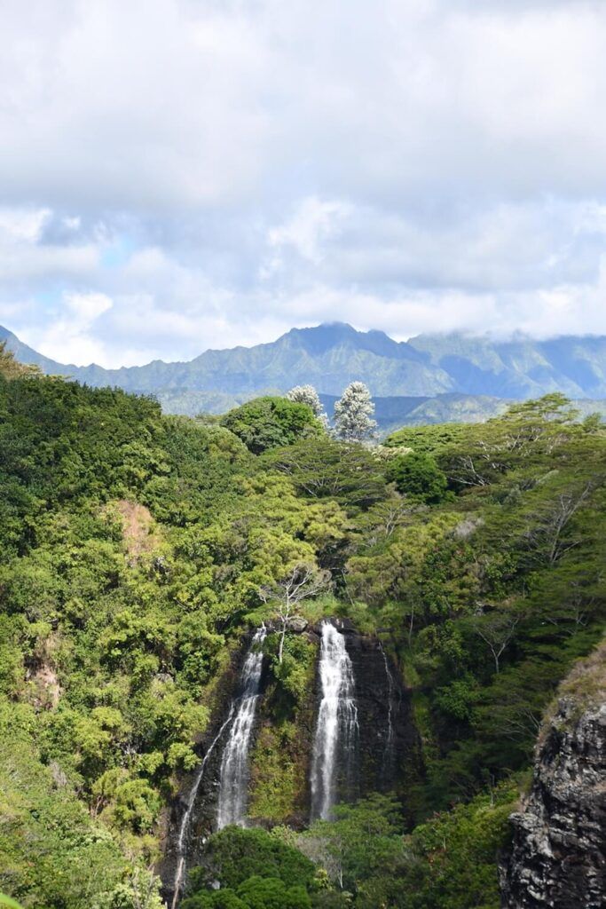 Opaekaa Falls: Image of a waterfall on Kauai