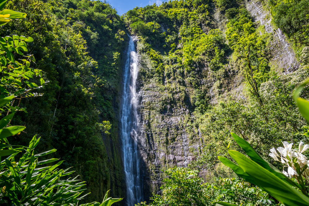 Image of Waimoku Falls in Maui