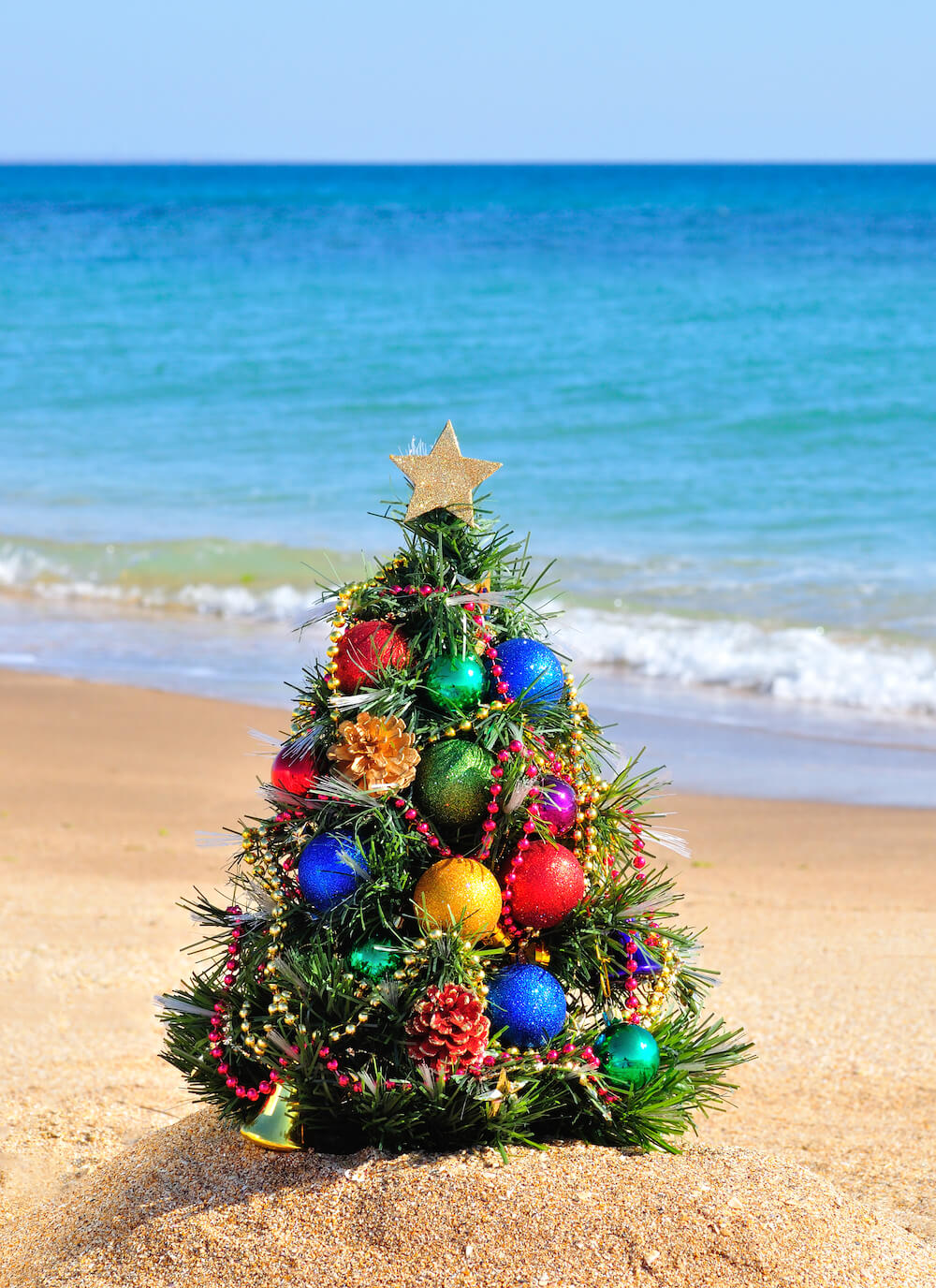 Hawaiian Christmas Tree 