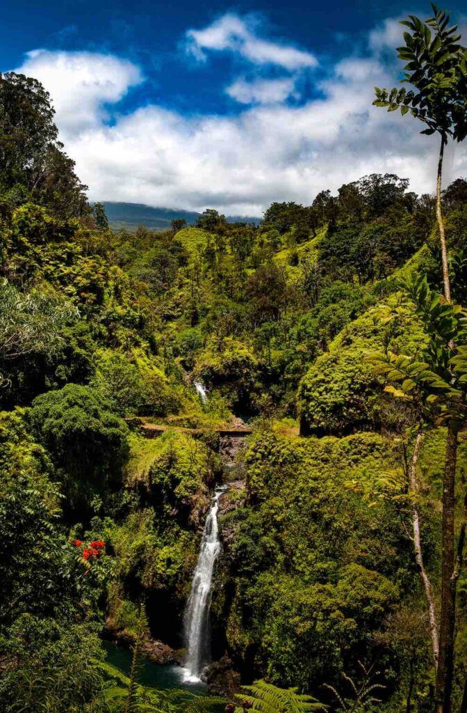 Waterfalls are some of the best Road to Hana stops on Maui. Image of a gorgeous Maui waterfall.