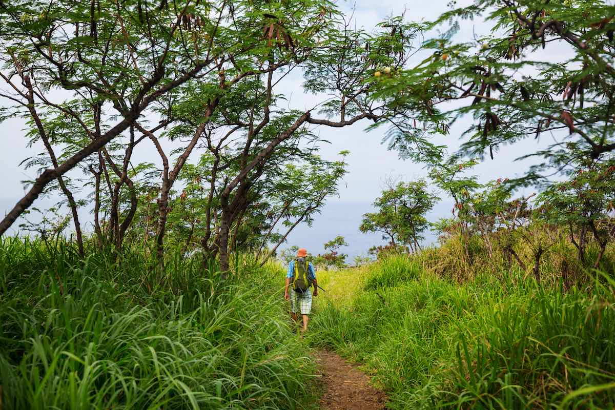 Find out the best Hawaiian island for hiking recommended by top Hawaii blog Hawaii Travel Spot! Image of Hiker on the trail in green jungle, Hawaii, USA