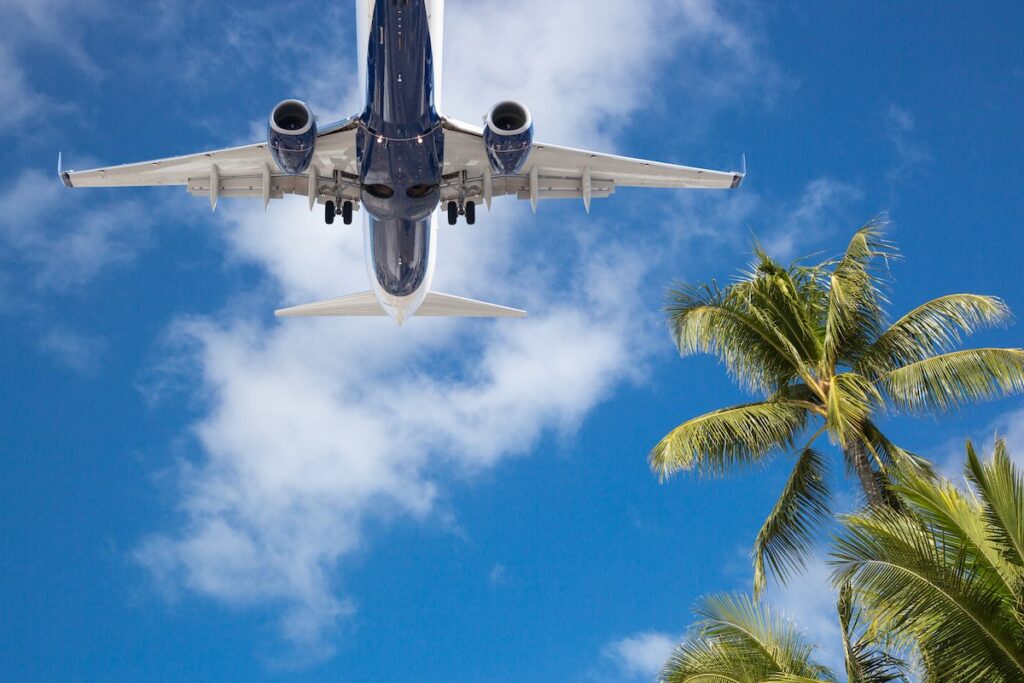 See how to find cheap airline tickets to Hawaii with tips by top Hawaii blog Hawaii Travel Spot! Image of Bottom View of Passenger Airplane Flying Over Tropical Palm Trees.