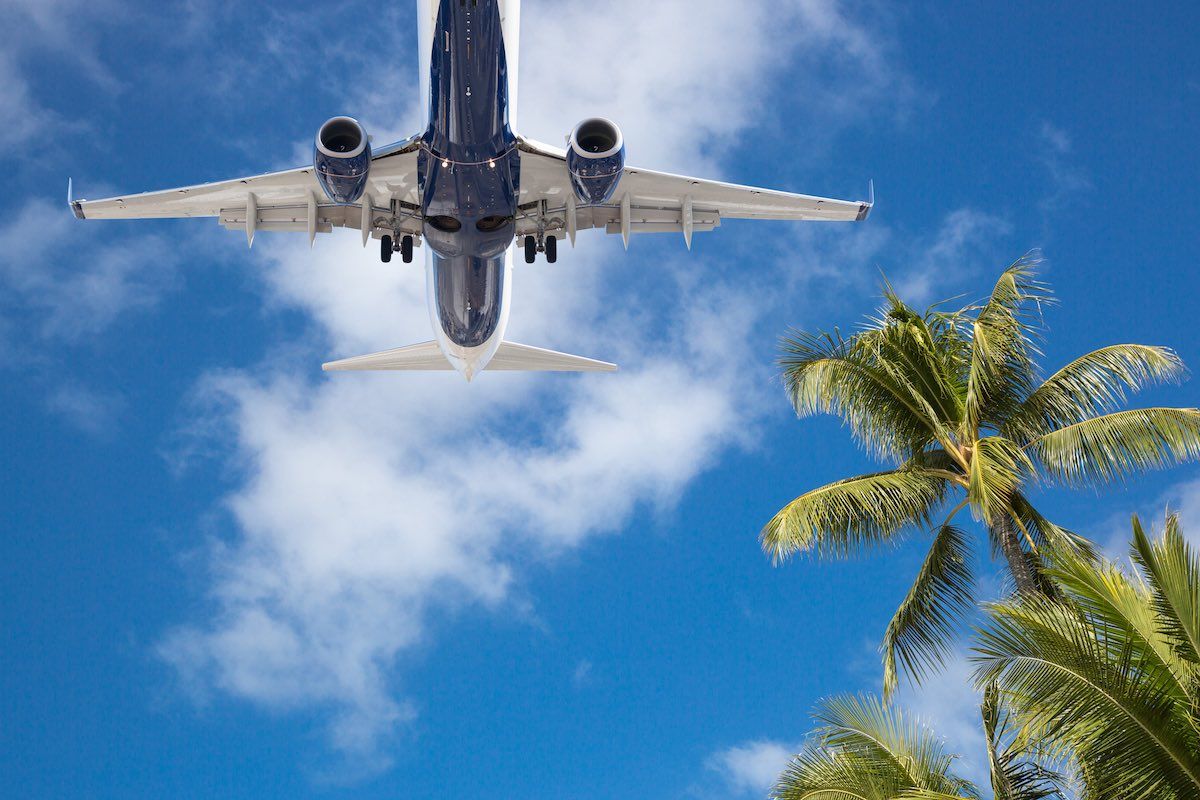 See how to find cheap airline tickets to Hawaii with tips by top Hawaii blog Hawaii Travel Spot! Image of Bottom View of Passenger Airplane Flying Over Tropical Palm Trees.