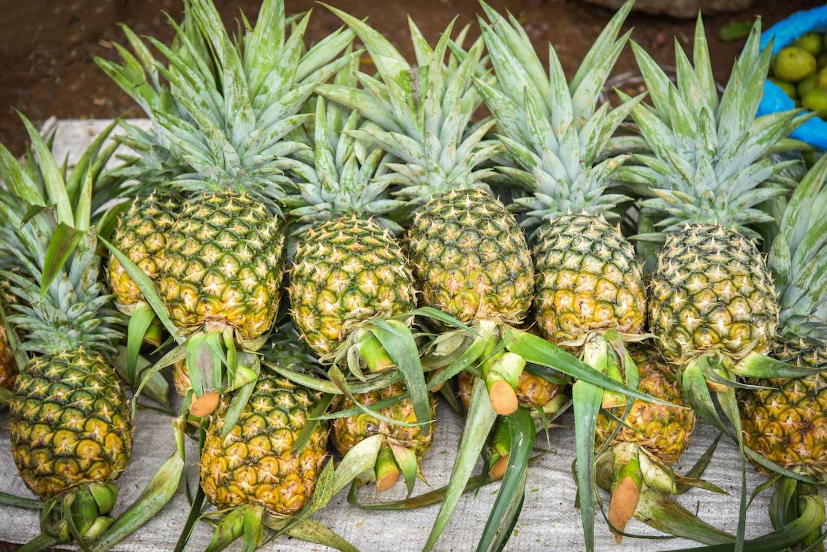 Find out the best Big Island farmers markets recommended by top Hawaii blog Hawaii Travel Spot! Image of Fresh pineapple tropical fruit for sale in the market