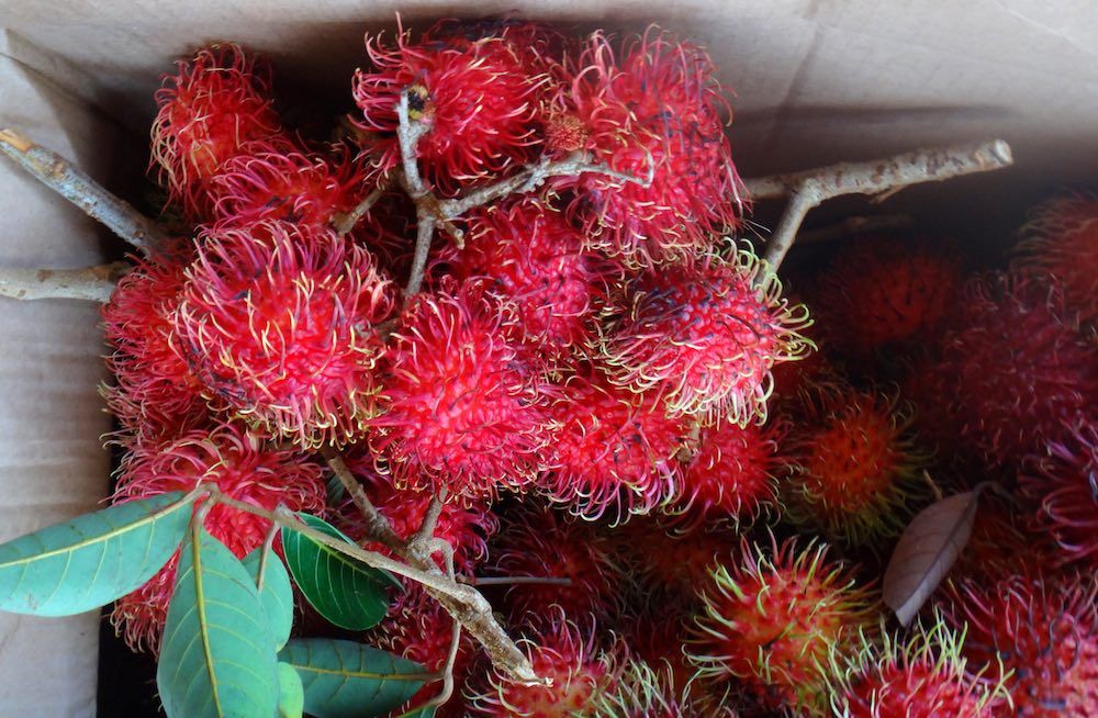 Image of red tropical fruit at a Big Island farmers market