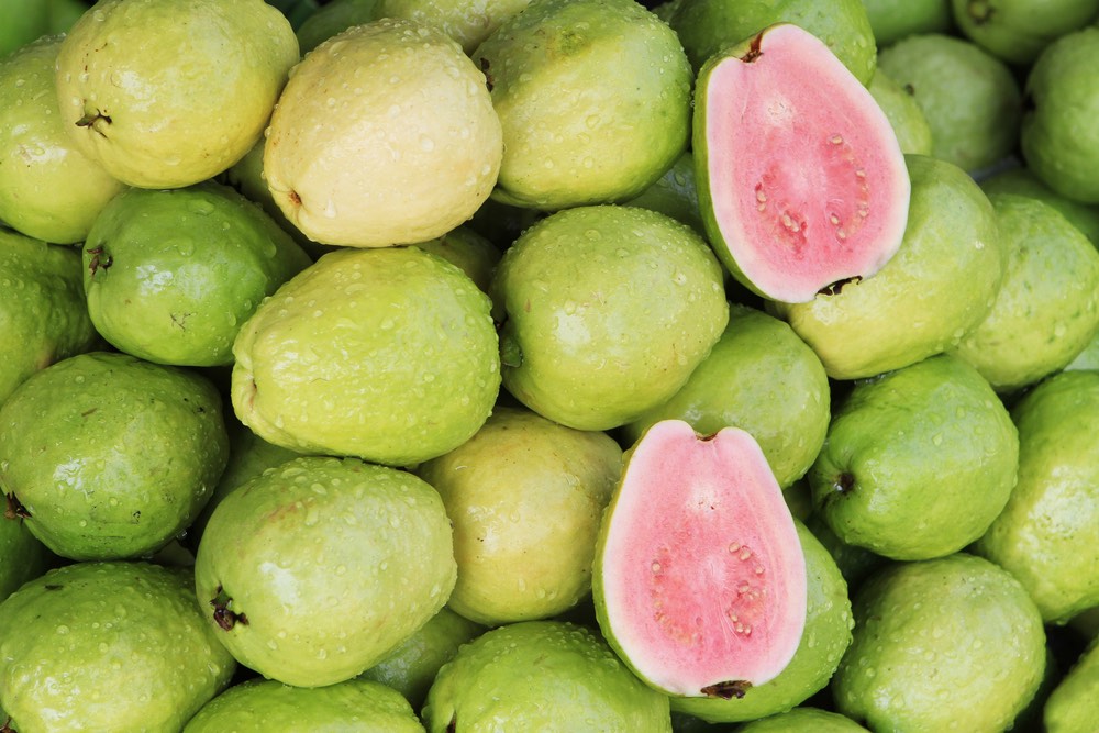 Fresh Guava in Hawaii