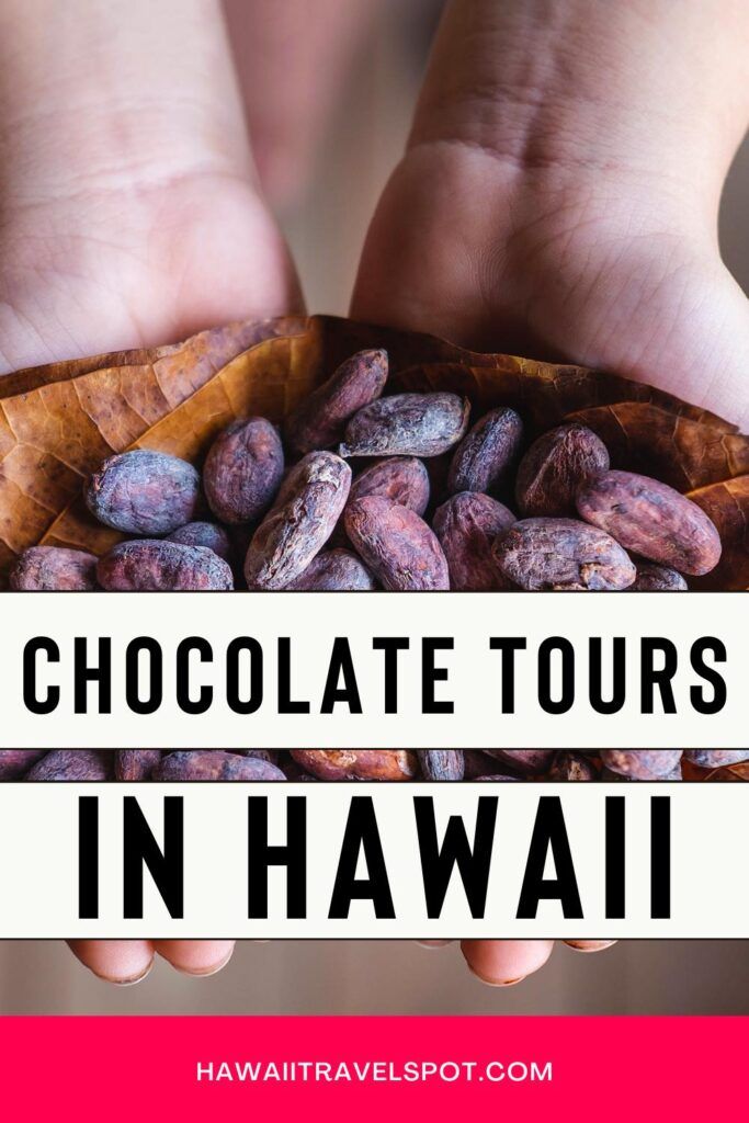 9 Tasty Hawaii Chocolate Farm Experiences Worth Doing (2023)