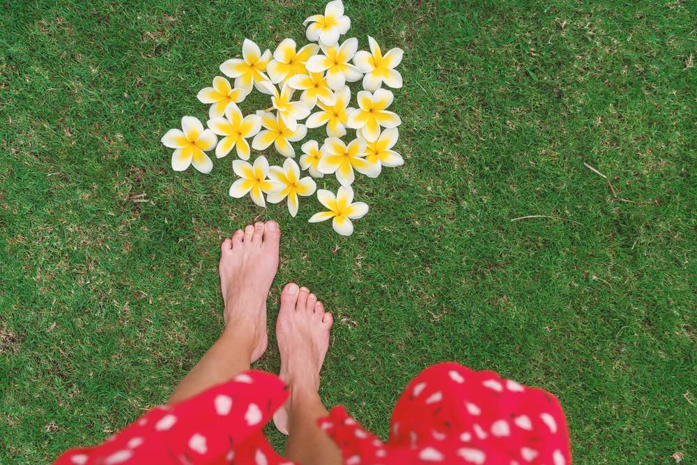 Flower petals romantic getaway Hawaii vacation travel. Woman POV walking barefoot on summer grass. Tropical flowers laid on floor for outdoor wedding or beauty body skincare pedicure.