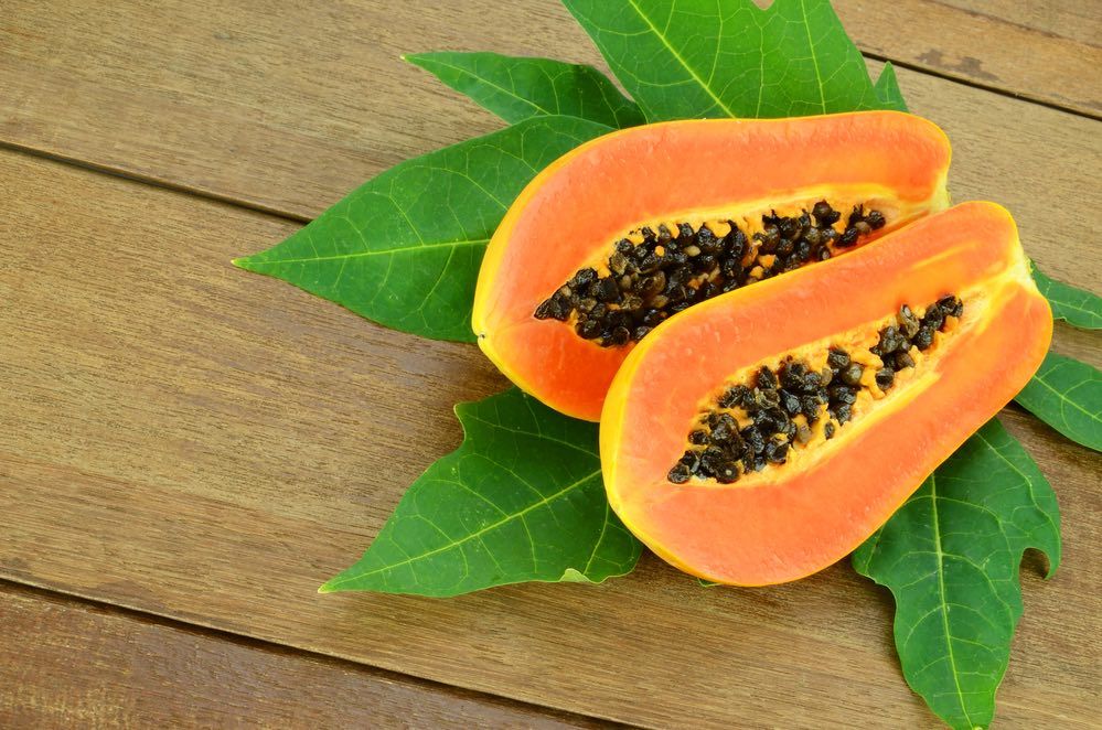 Ripe papaya, Pawpaw or Tree melon (Carica papaya L) which Rich in Betacarotene, Vitamin C, Fiber and Papine Enzyme.