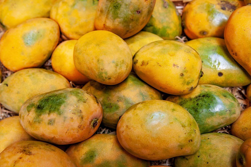 Image of a pile of yellow mangoes