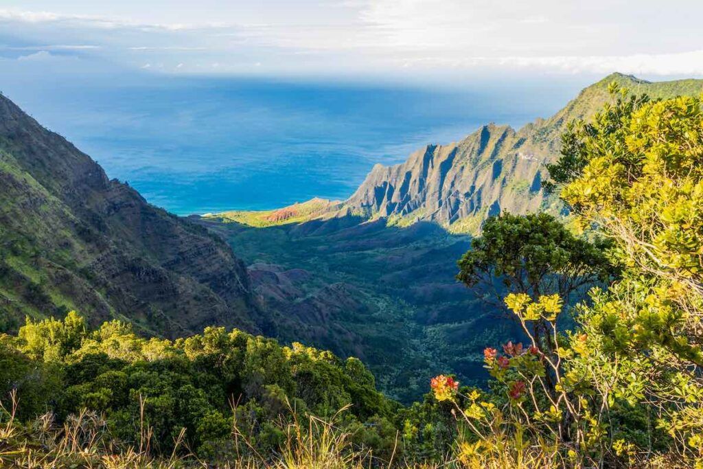 View of Na Pali Coast from the Kalalau Lookout at Kokee State Park on Kauai Island, Hawaii