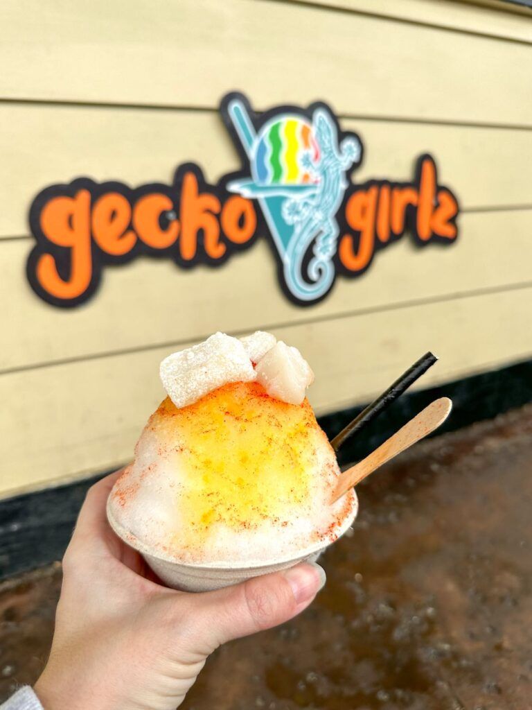 Gecko Girlz Shave Ice in Kona