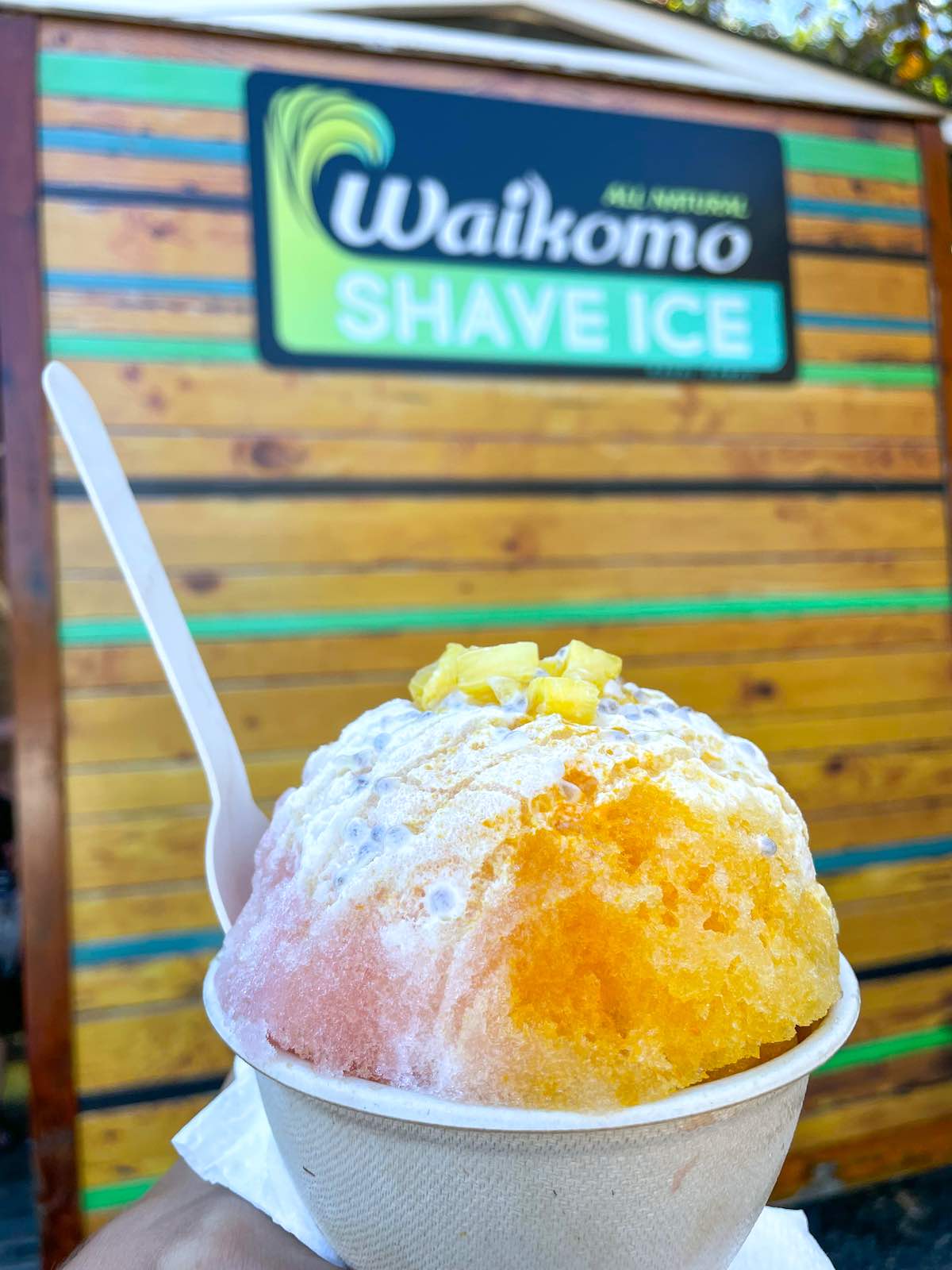 10 Refreshingly Best Shave Ice on Kauai Worth a Stop (2023)