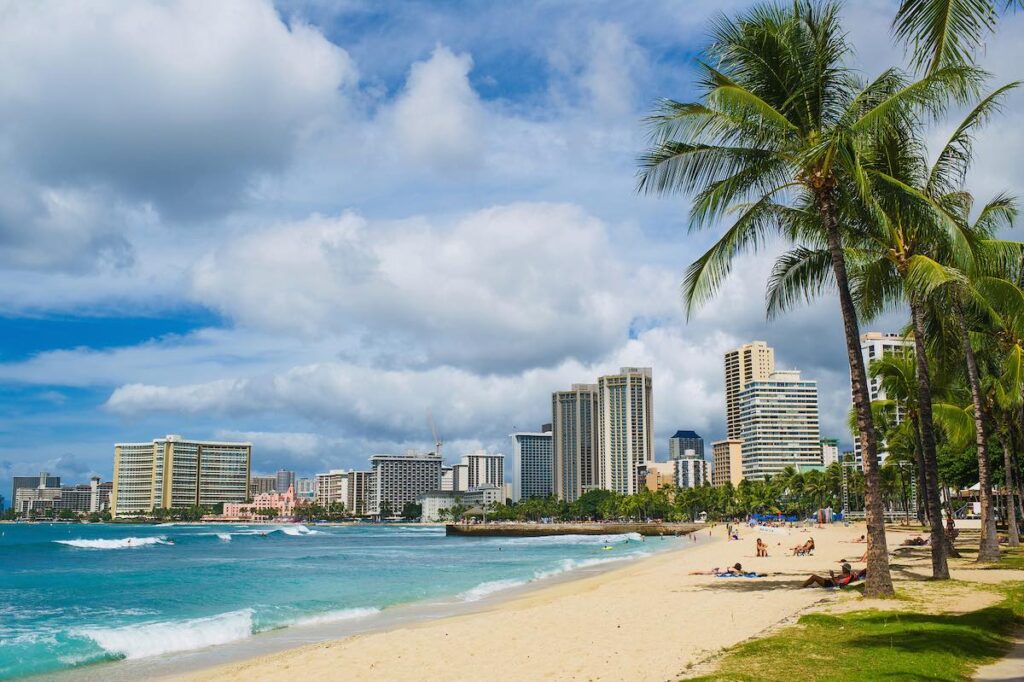 Waikiki beach panorama view with palm trees
