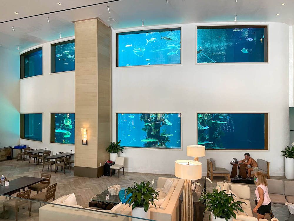 Image of an aquarium inside the Alohilani Hotel in Waikiki